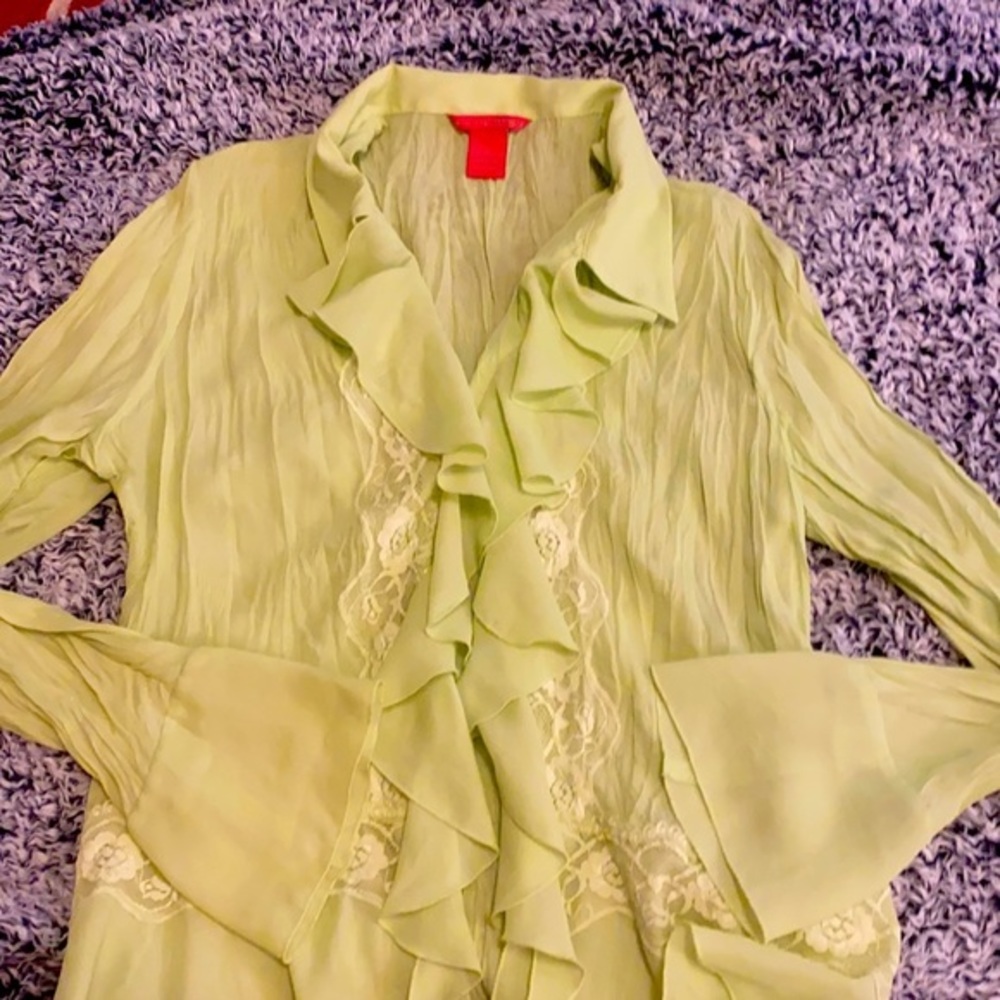 Sunny Leigh SheerLace Romantic Blouse! Large!